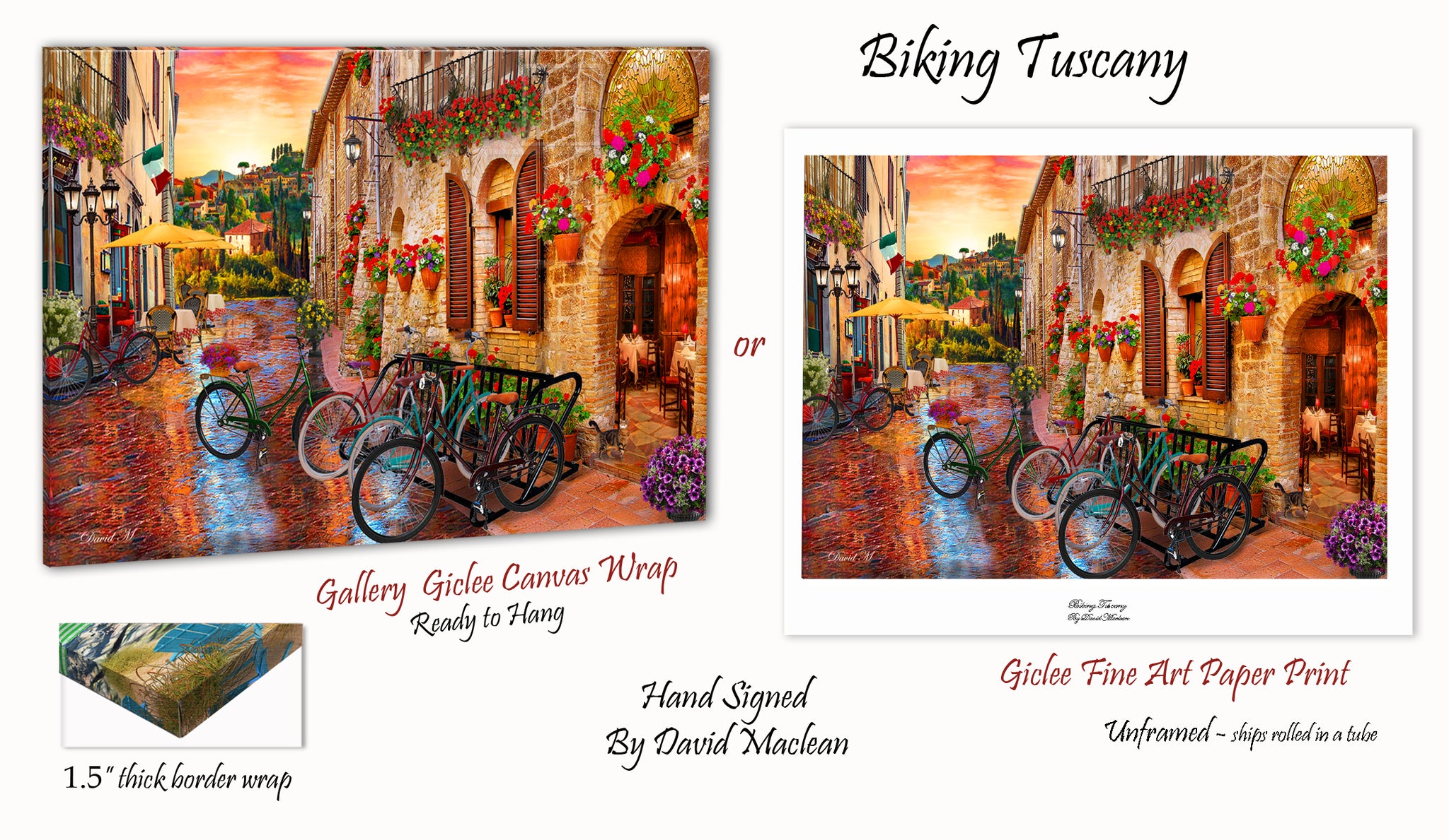 Biking Tuscany ___________________ Order Options Here