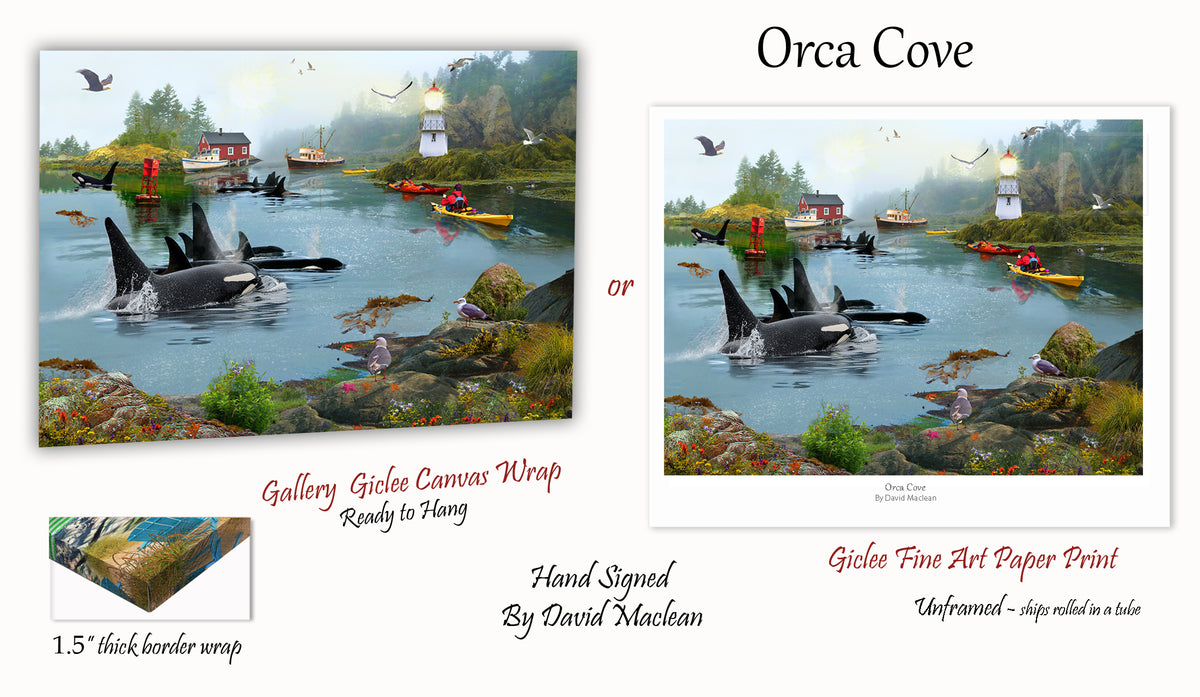 Orca Cove Order Options Here – Art of David Maclean