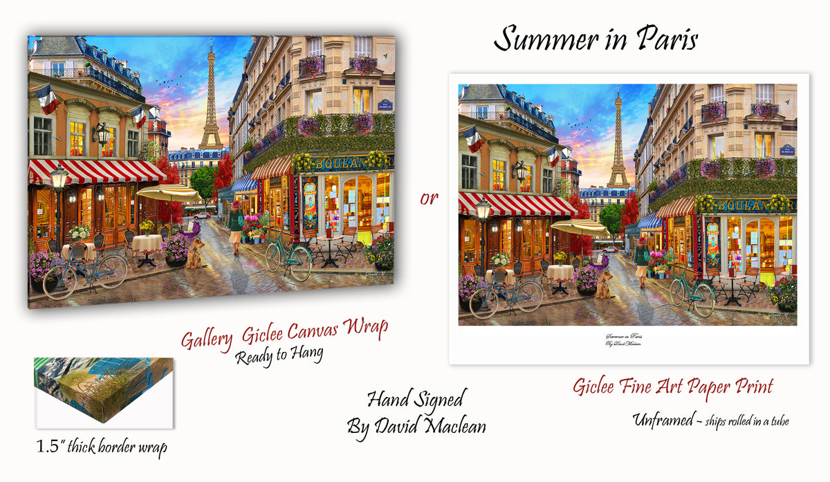 Summer in Paris Order Options Here – Art of David Maclean