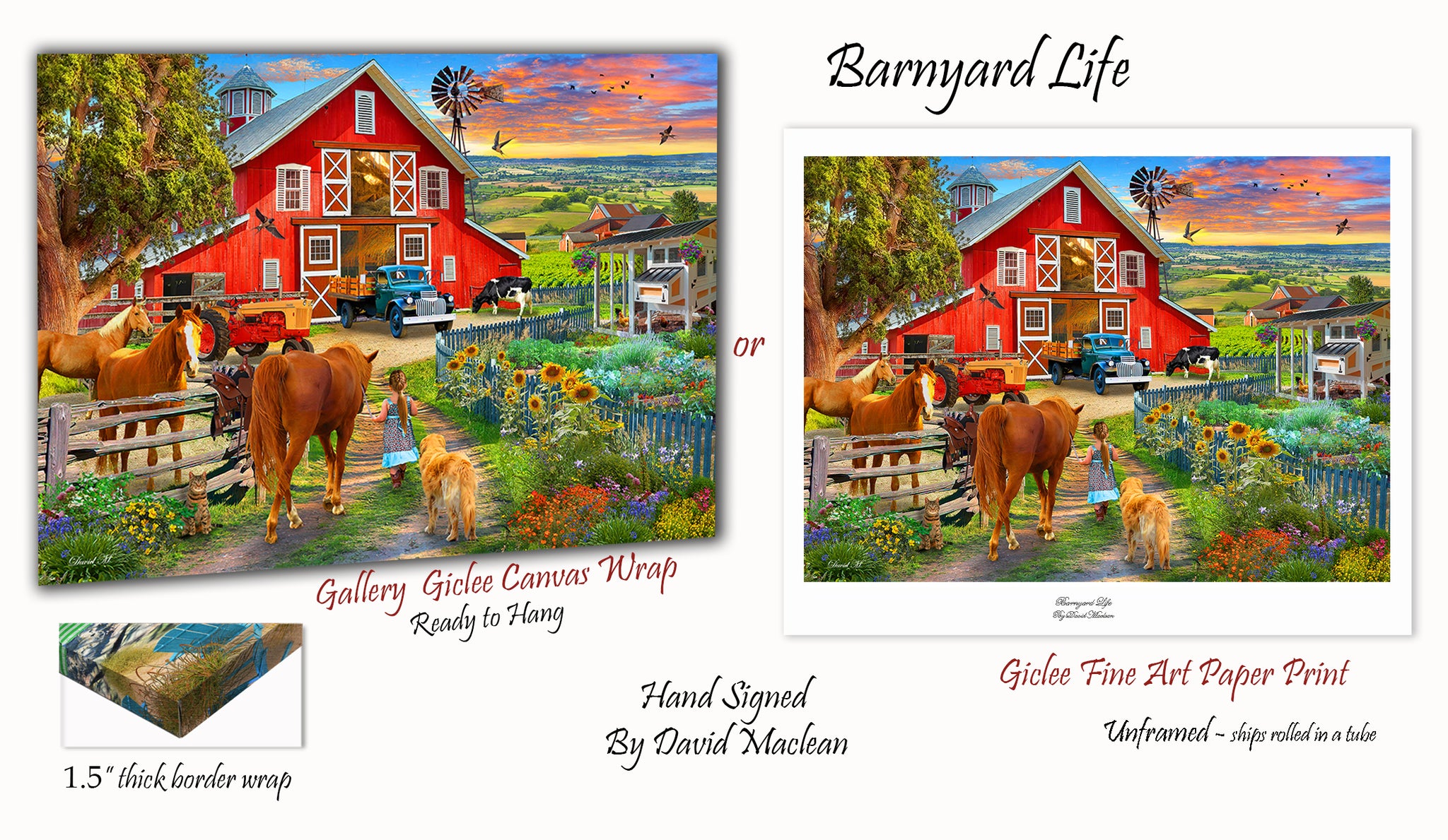 Barnyard Life  ________________________ Order Options Here