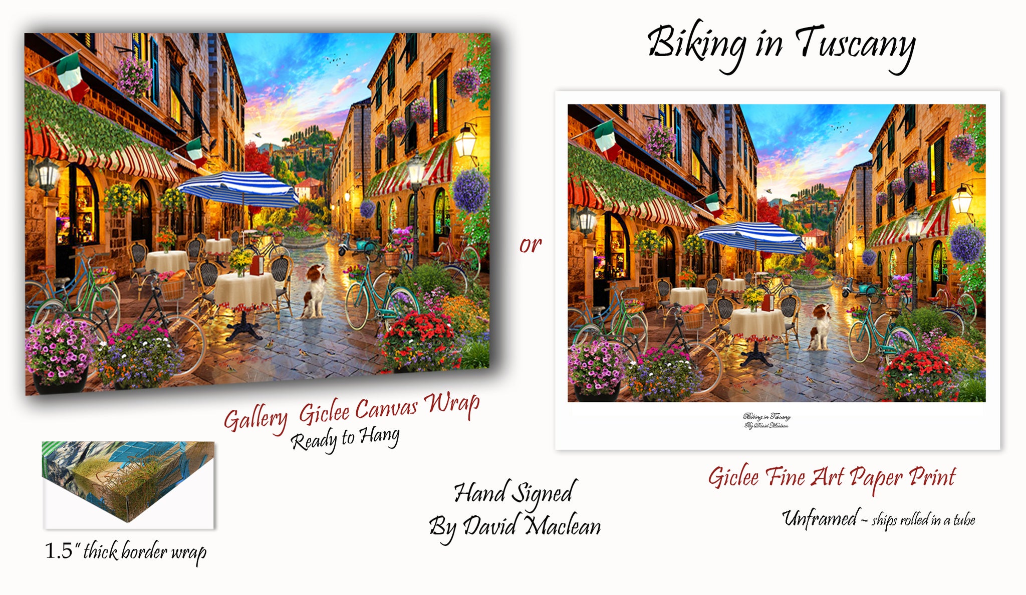 Tuscany, Italy Biking _____________________ Order Options Here Art of