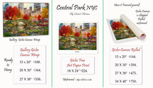 Central Park NYC   _____________________    Order Options Here