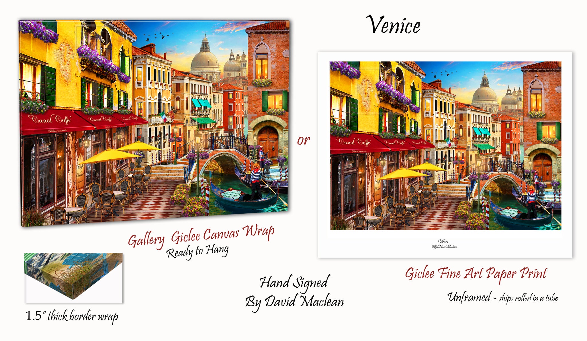 Venice  ________________________ Order Options Here